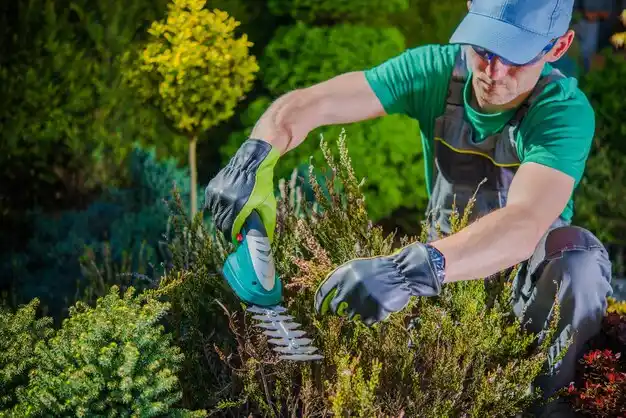 landscaping services Josephville